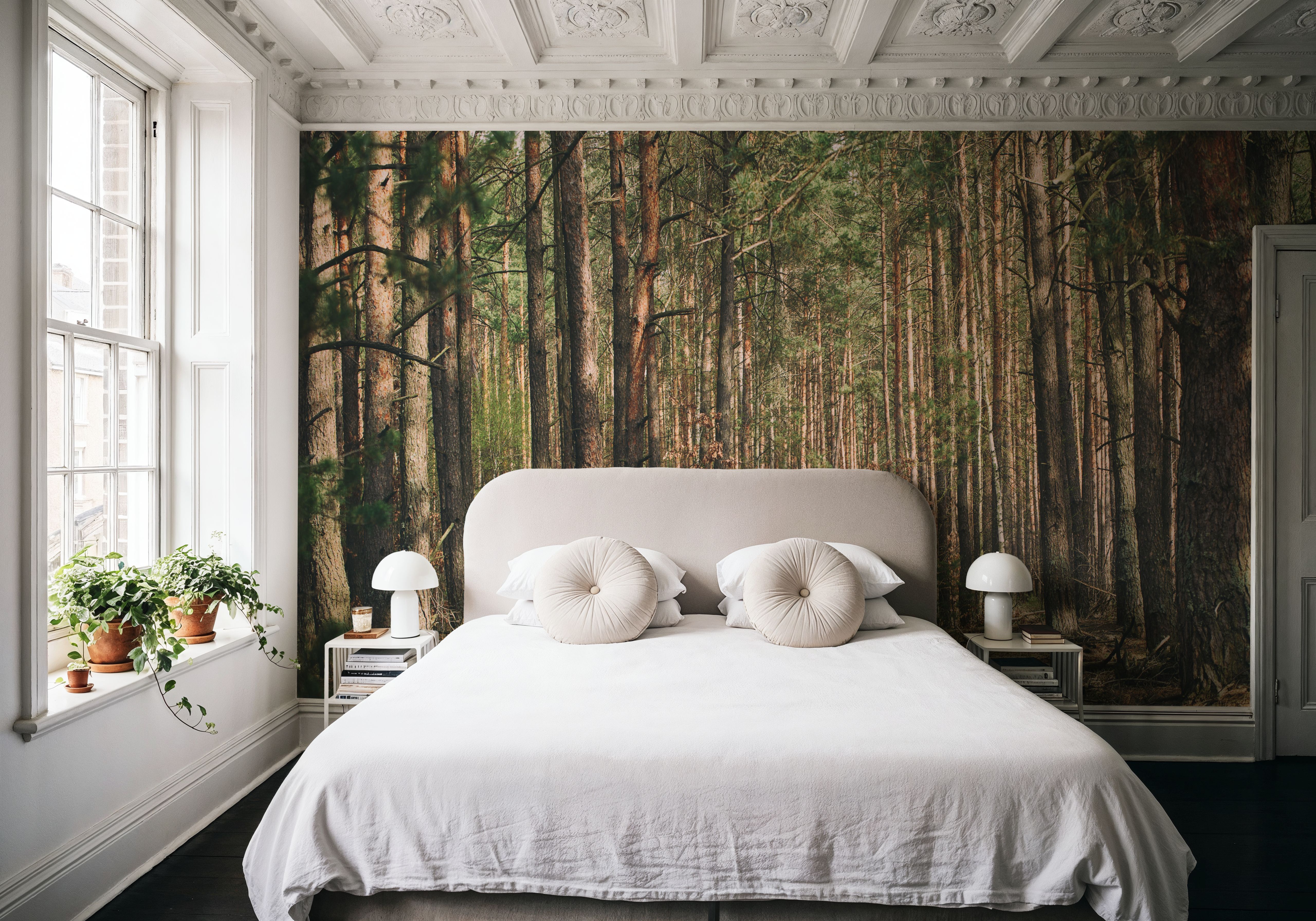 Alo ne in the Forest, Wallpaper