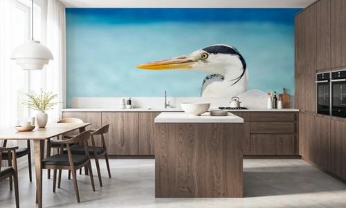 Grey Heron