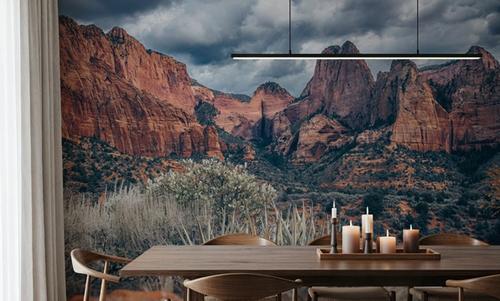 Zion National Park Storms
