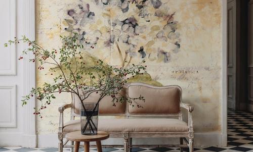 White Wash Hydrangea