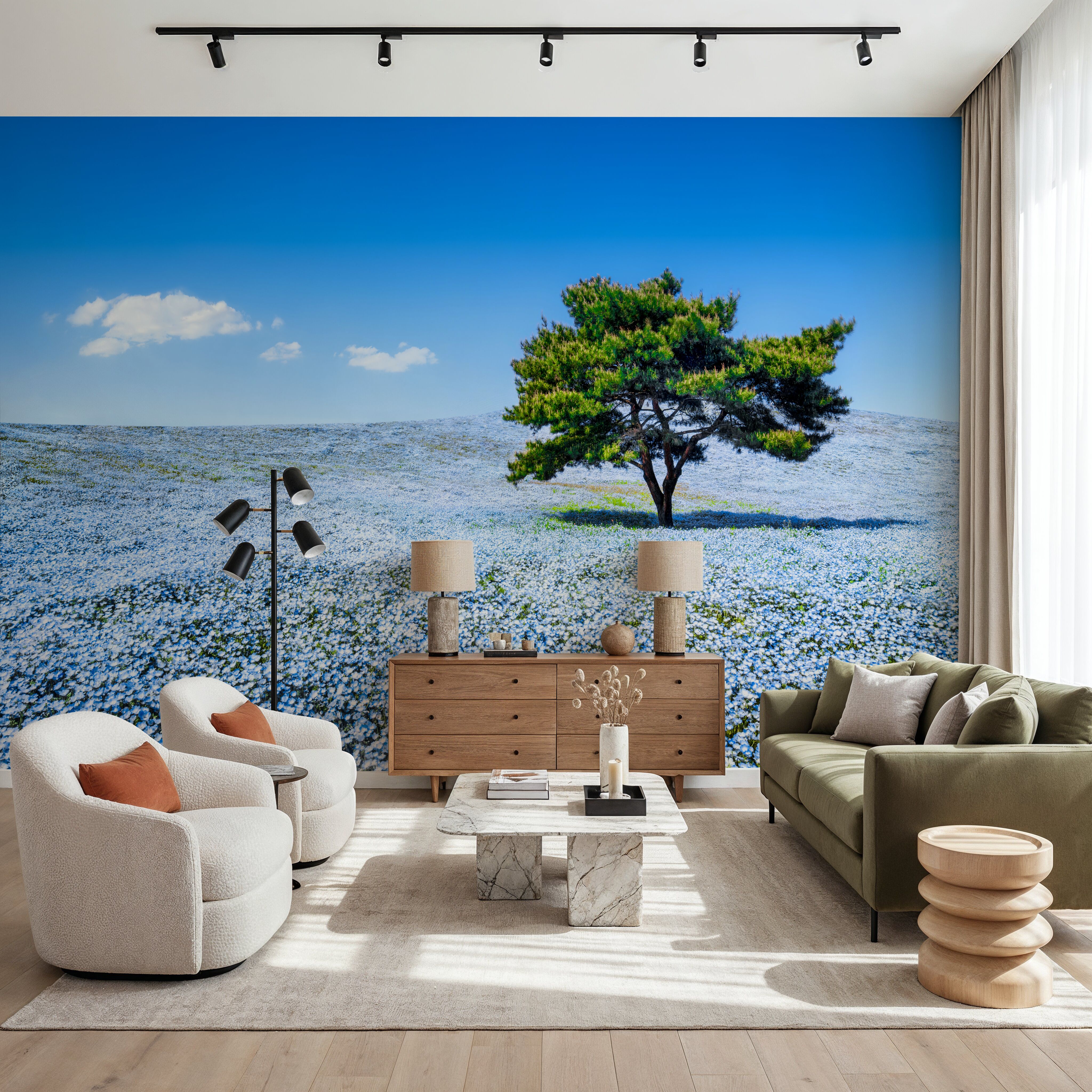 Baby Blue Eyes Nemophila