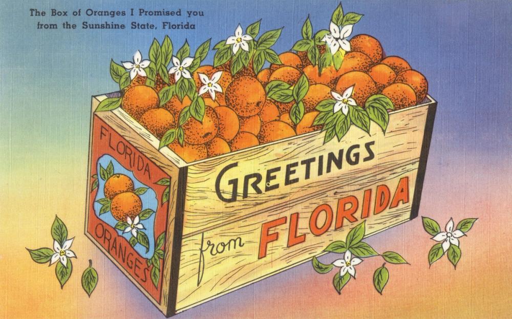 Greetings from Florida's Finest Oranges - Screenprint Postcard