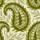 Botanical Paisley, Olive