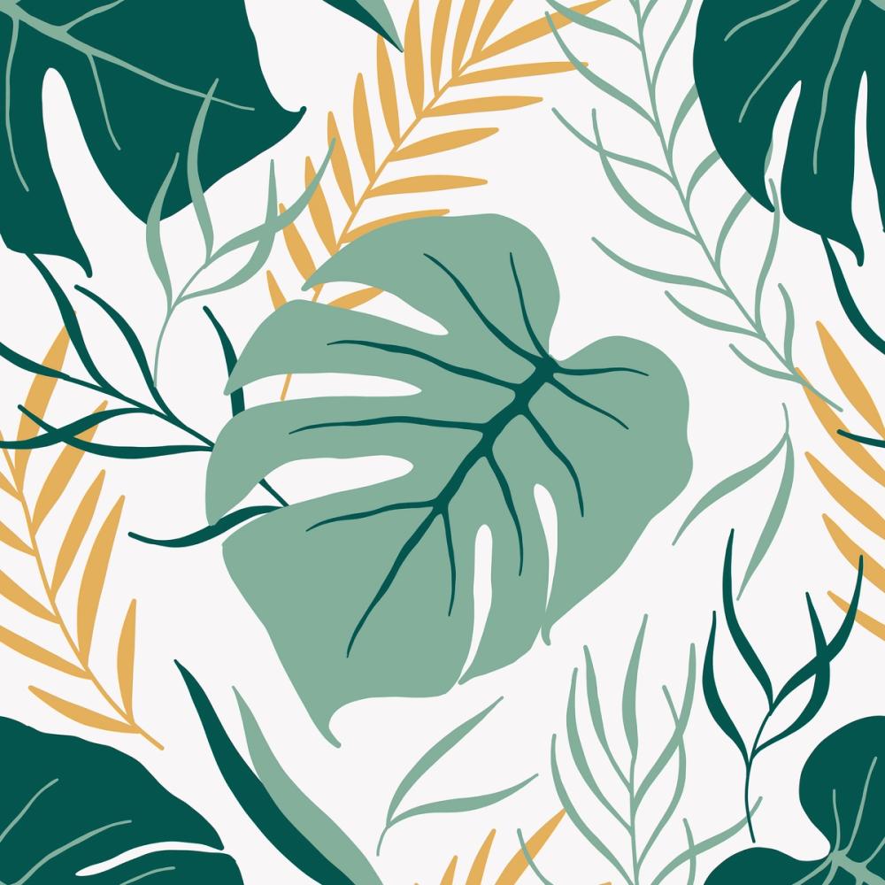 Tropic Monstera