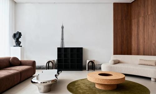 A Birds View of Paris