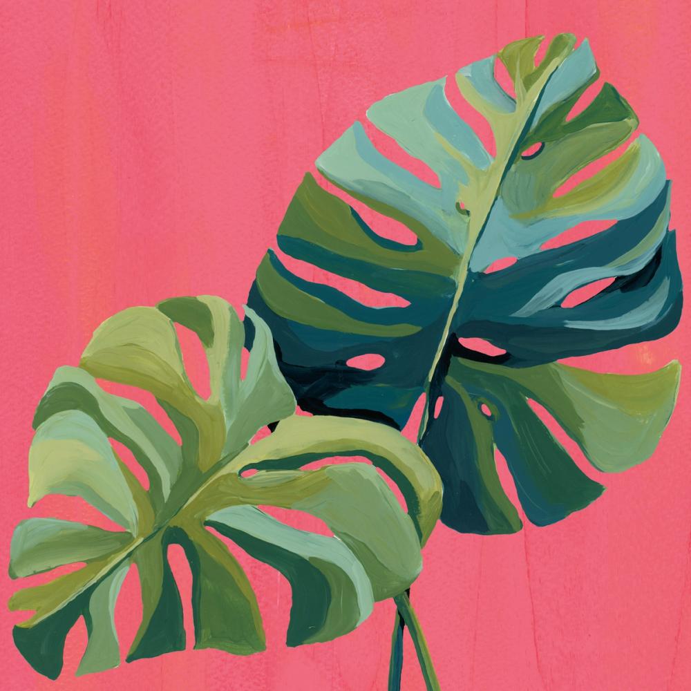 Island Botanica I