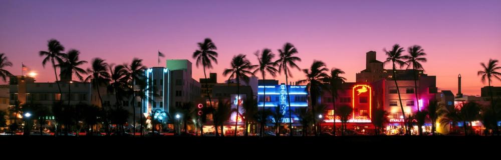 Neon Sunset Boulevard