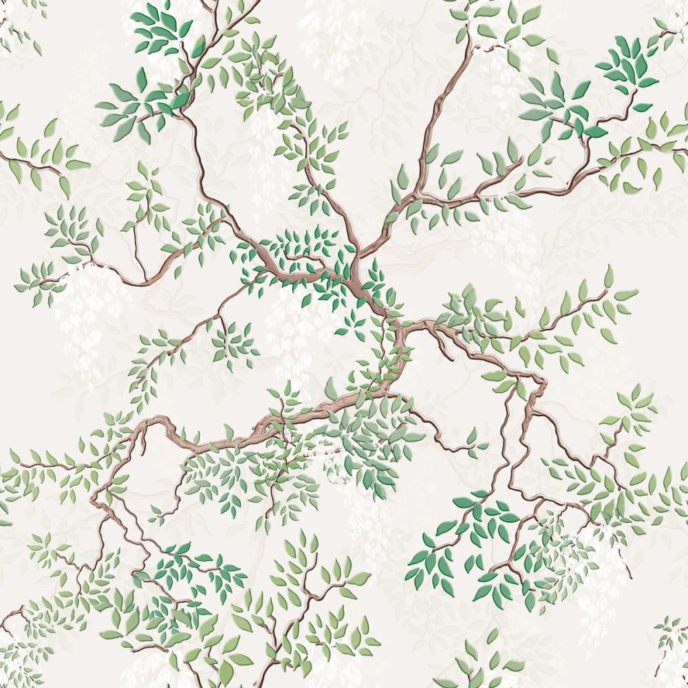 Climbing Wisteria, Ecru