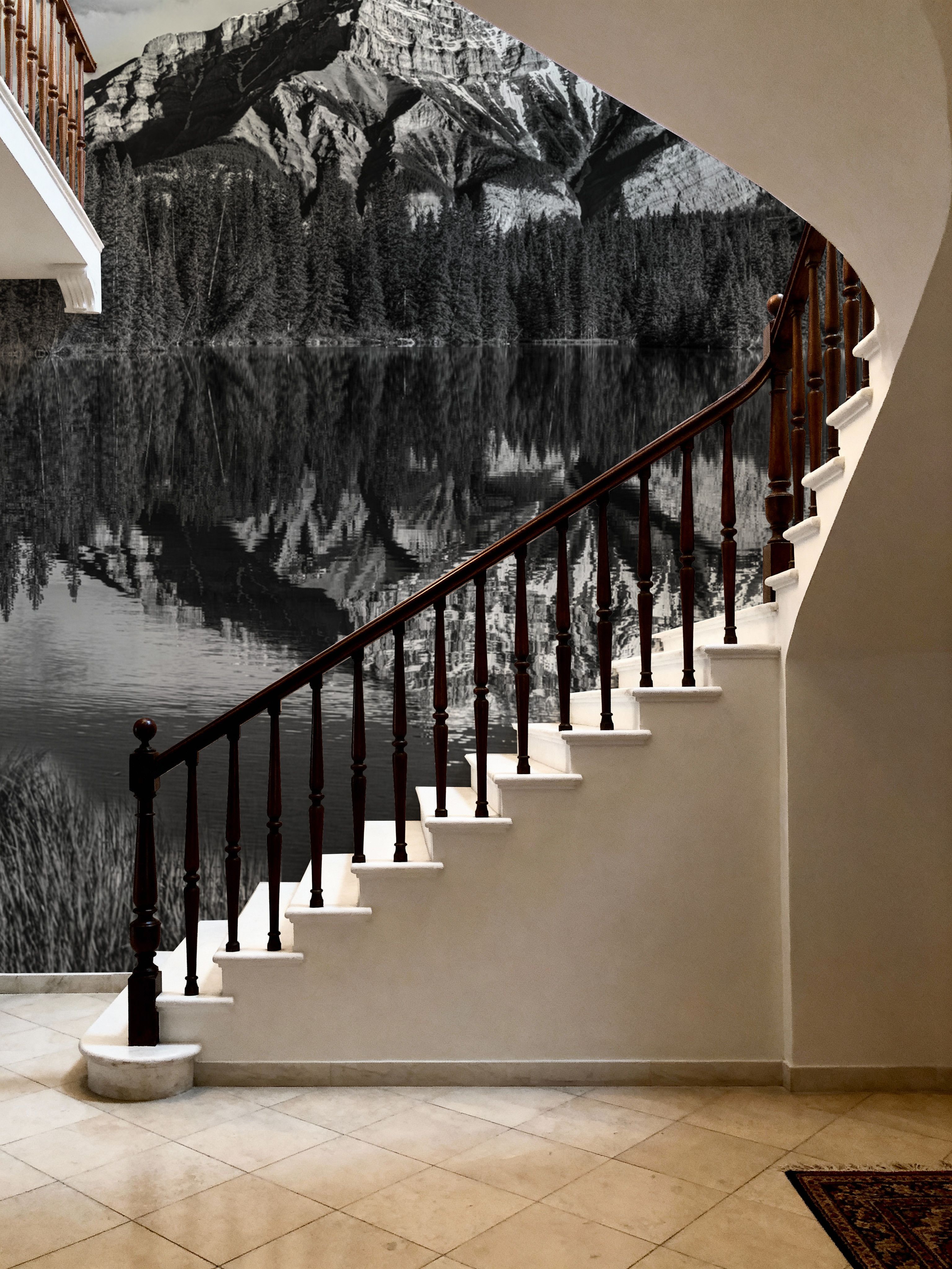 Cascade Mountain Reflection BW