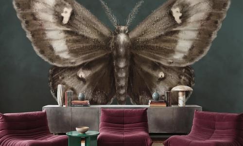 Elegant Moth I