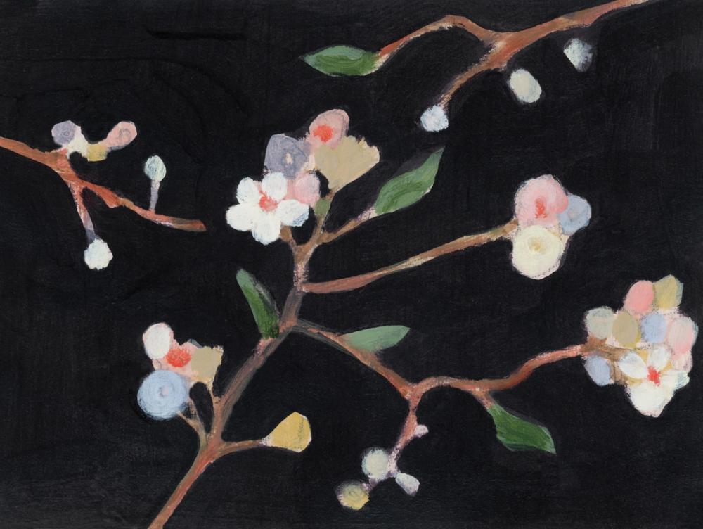 Branch Study II