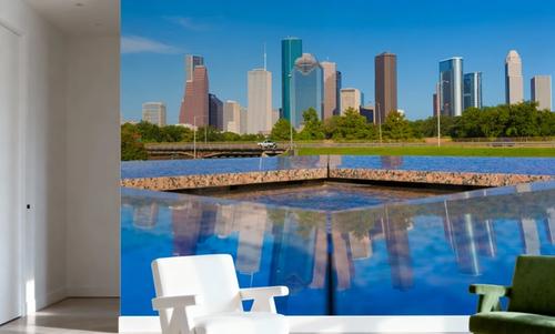 Houston Reflection