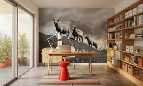 Wanaka Sheep IV