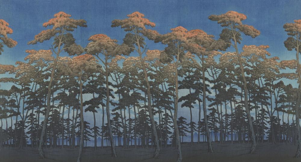 Tranquil Pinescape, Night