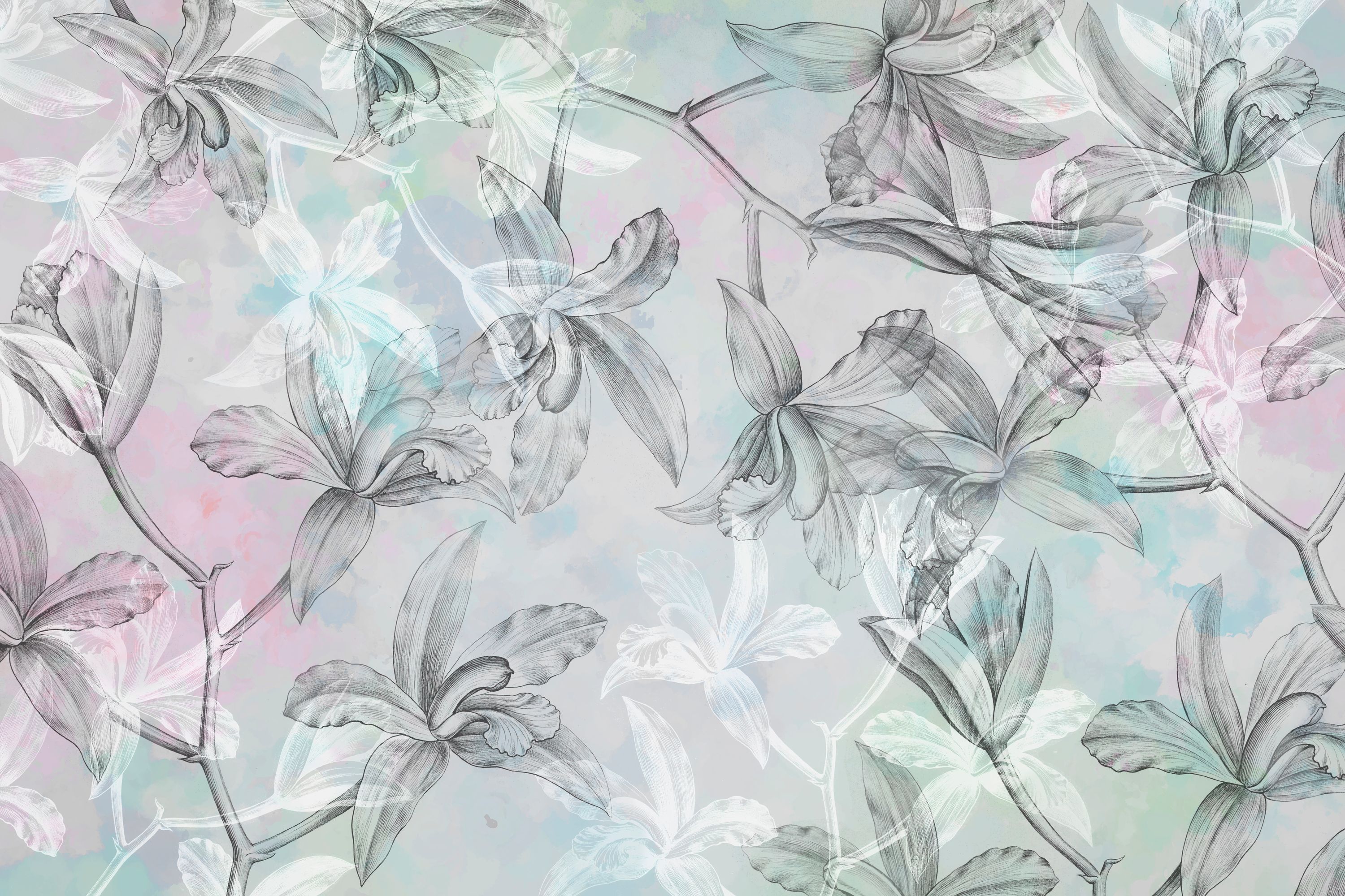 Orchids on Water