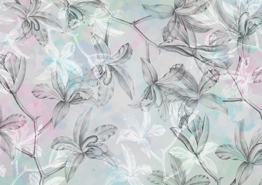 Orchids on Water
