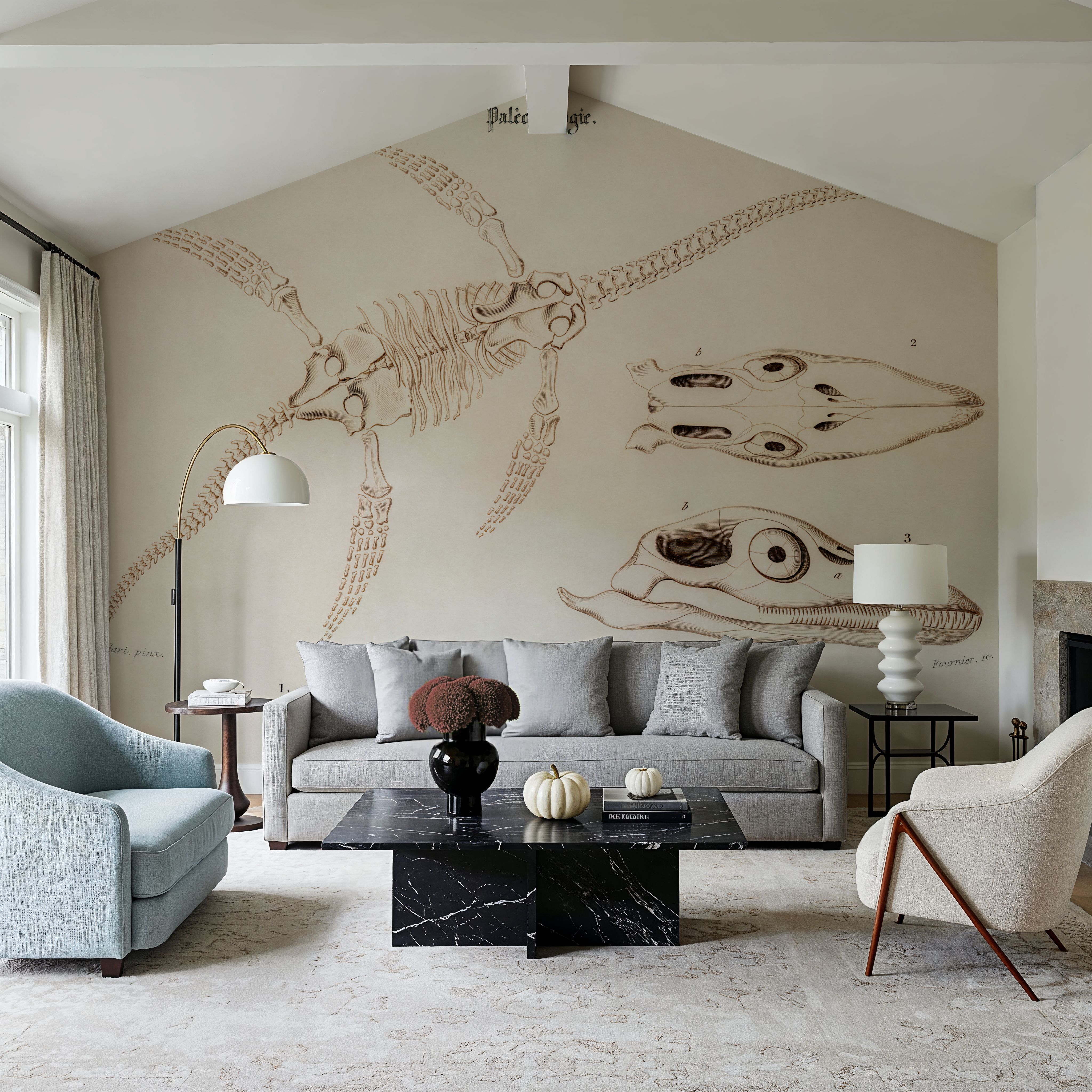 Plesiosaurus Illustrated