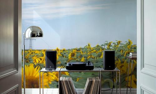 Sunflowers & Steel