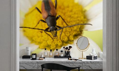 Hello Beetle