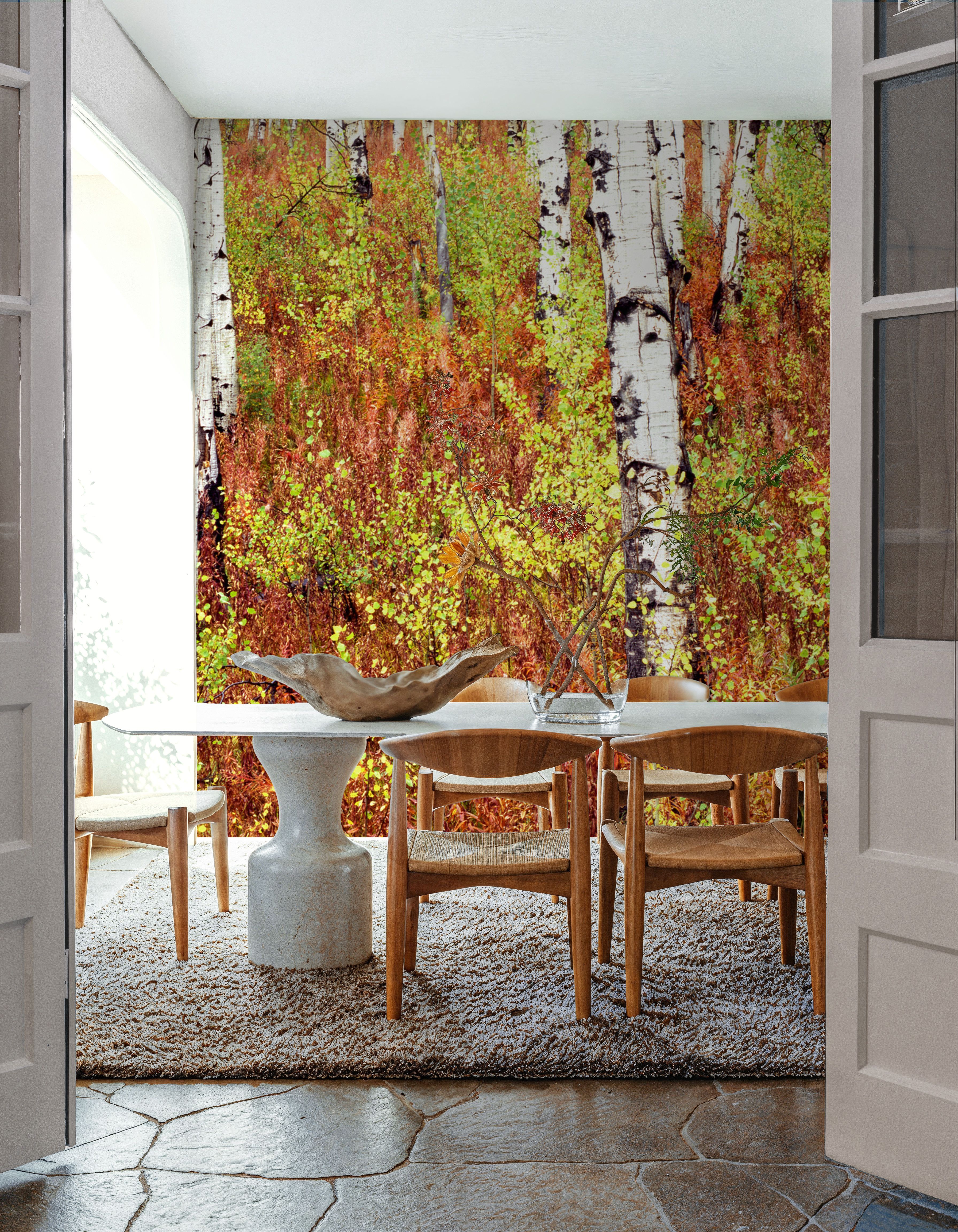 Autumn Birch Haven