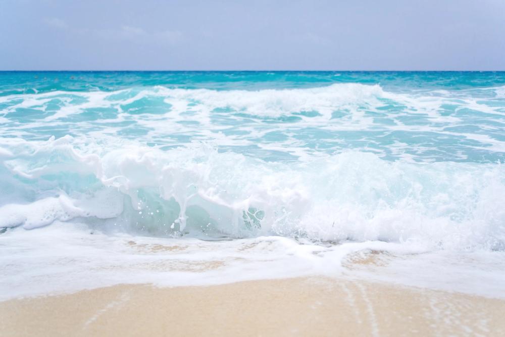Sandy Shore