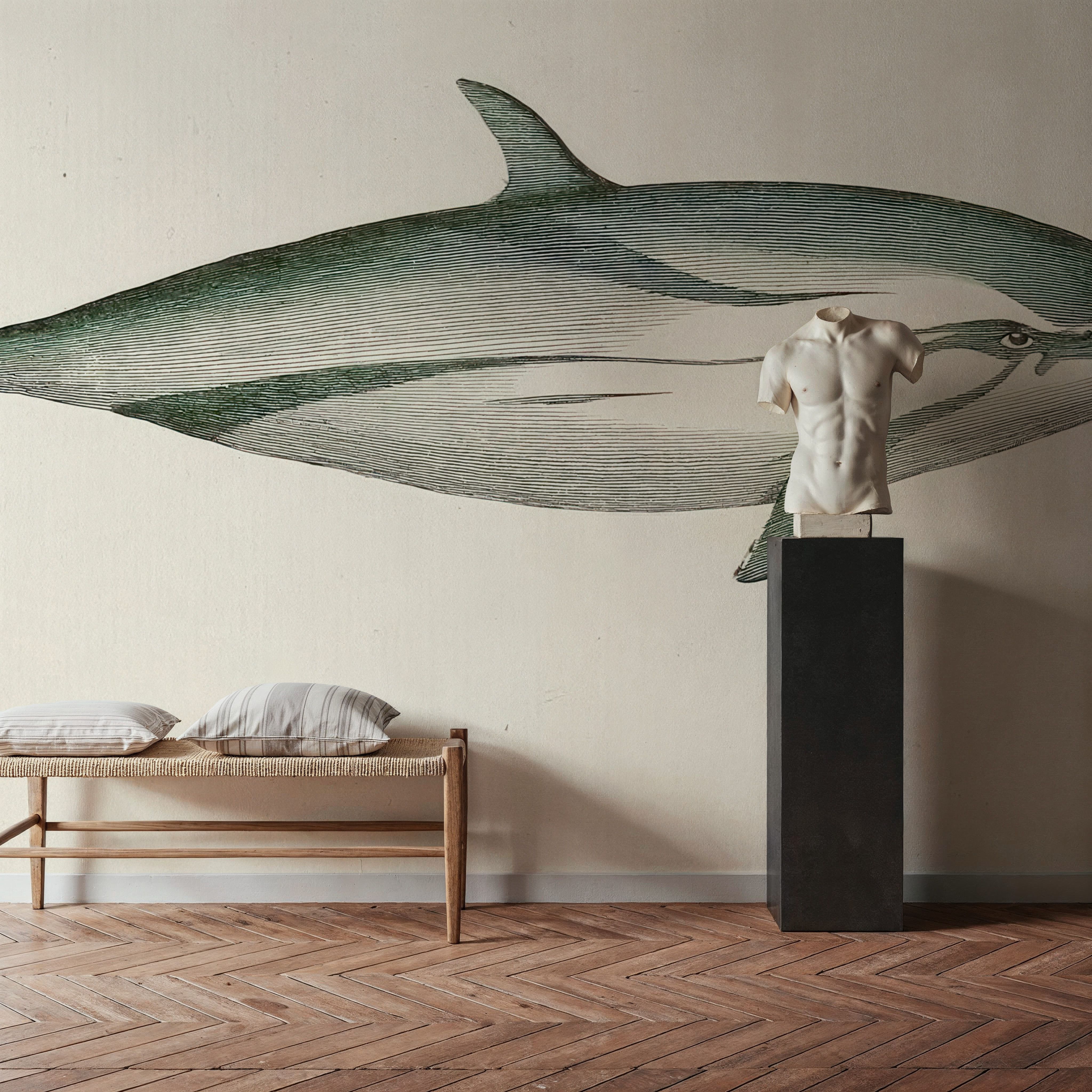 Striped Dolphin