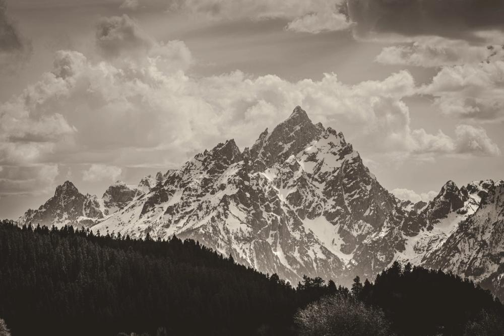 Grand Tetons in Summer