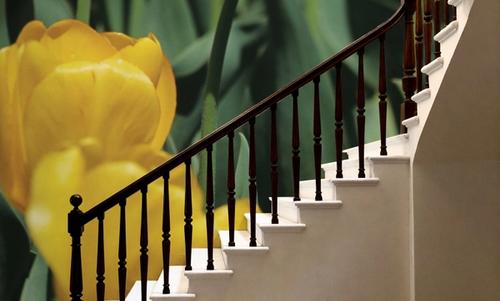 The Standout Tulip