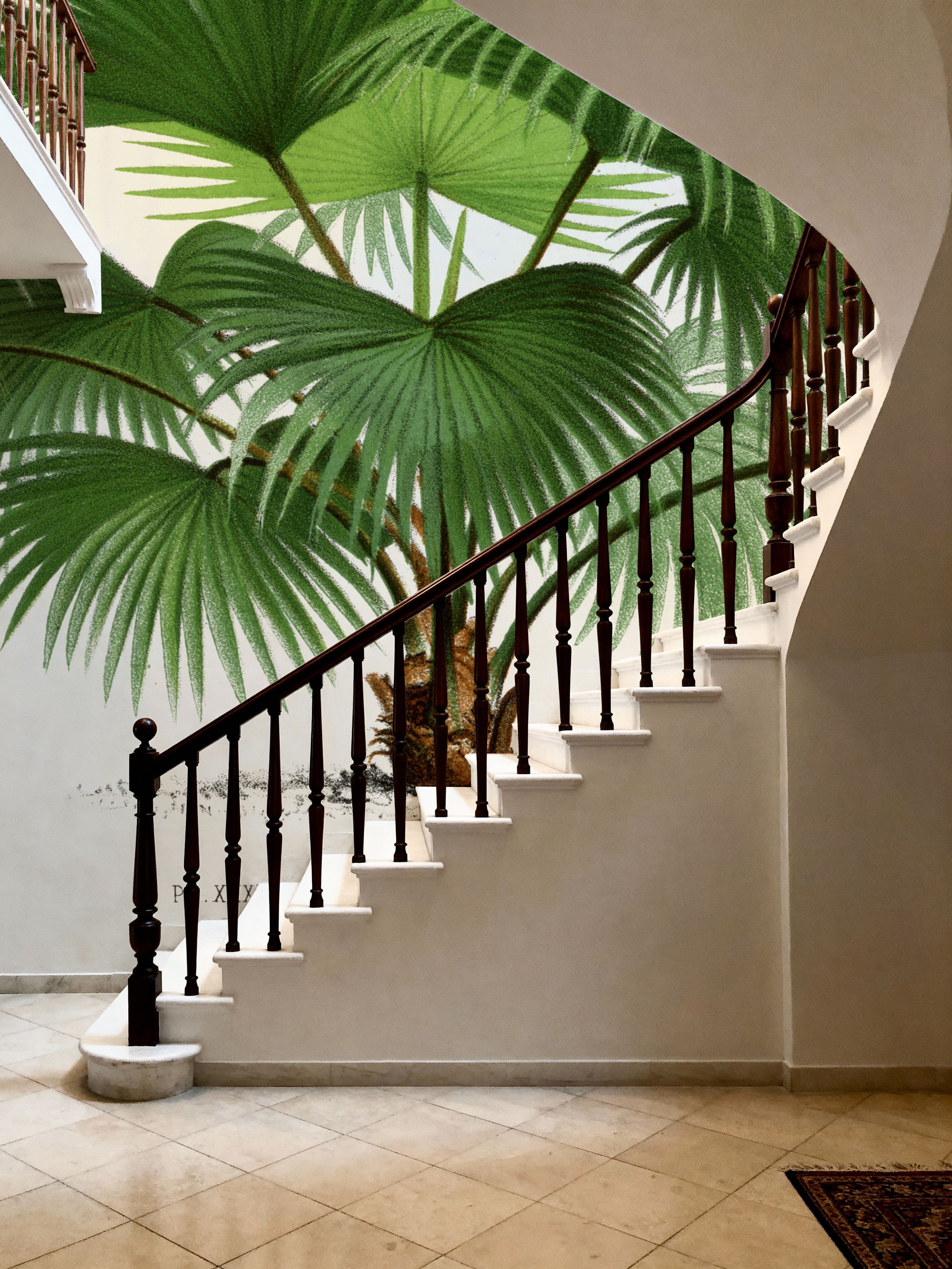 Vintage Palm Tree IV