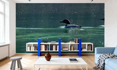 Common Loons