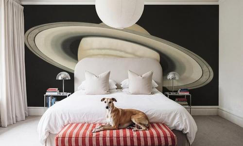 The Planet Saturn