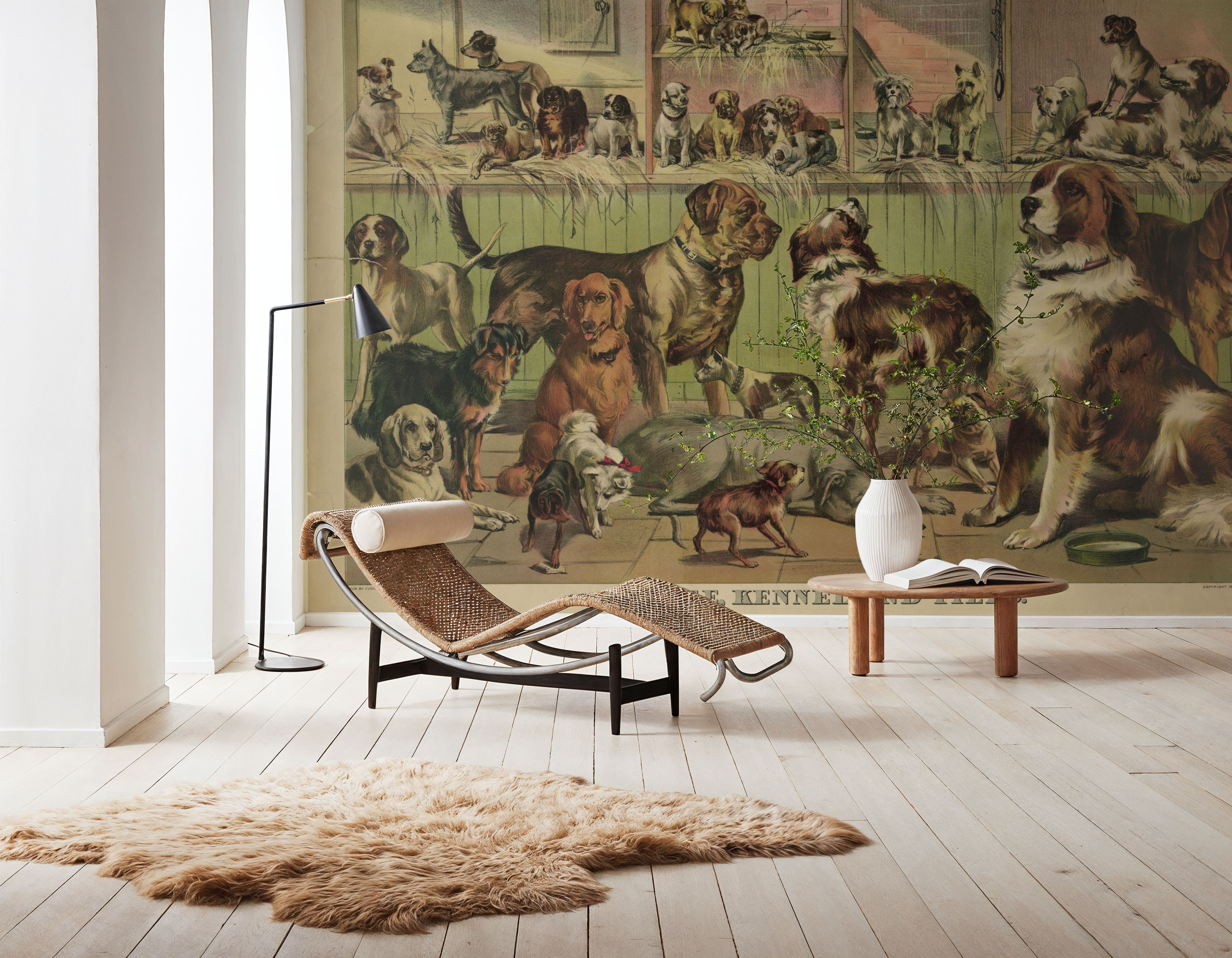 Kennel