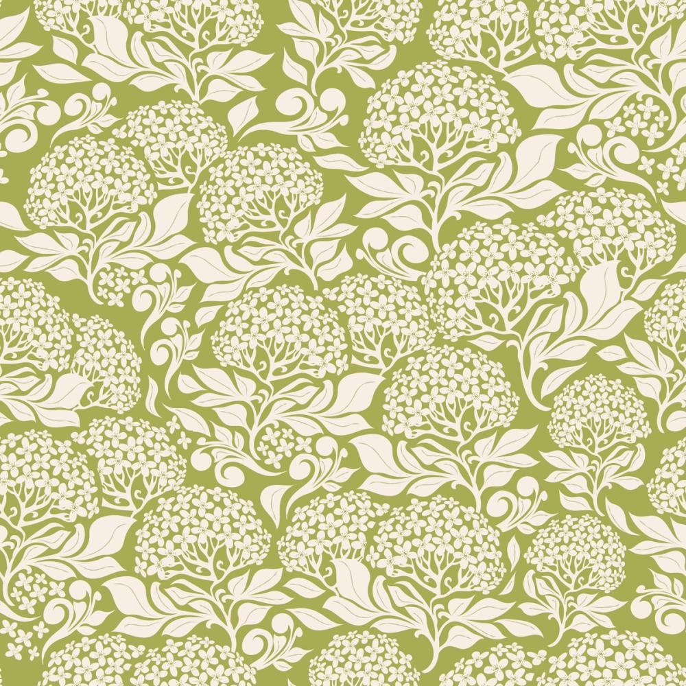 Hydrangea, Pistachio