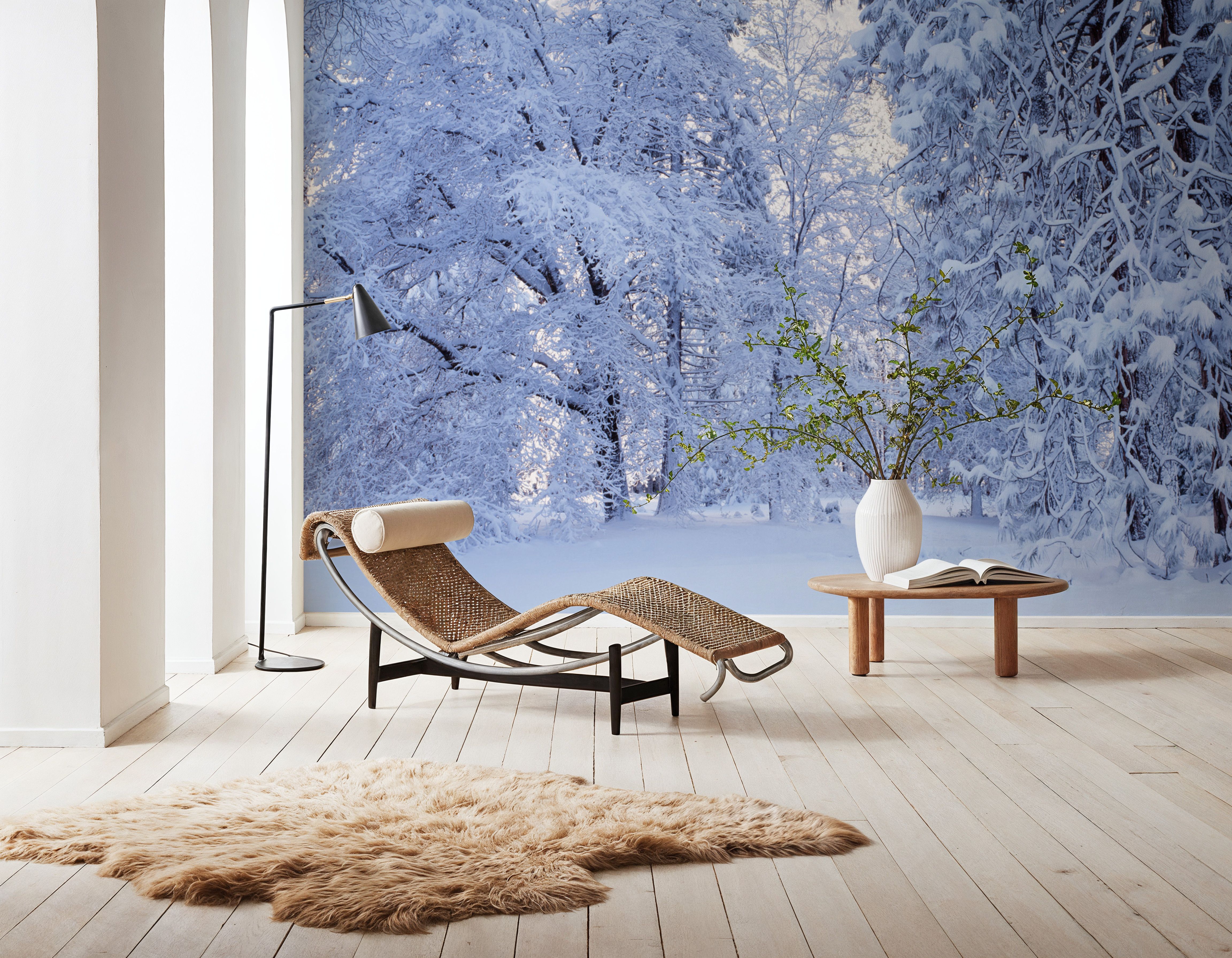 Snow-Laden Forest
