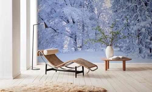 Snow-Laden Forest