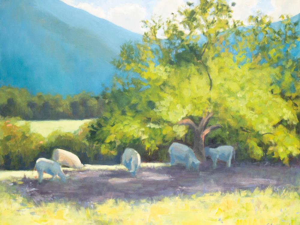 Blue Ridge Cows Grazing