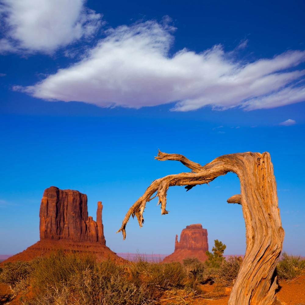 Monument Valley Branch