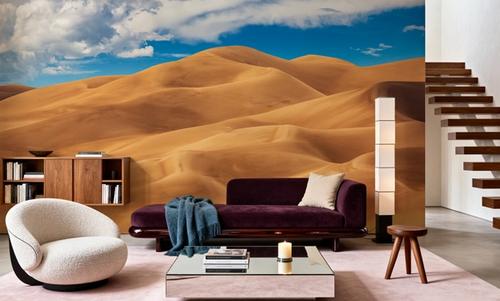 Great Sand Dune of Colorado