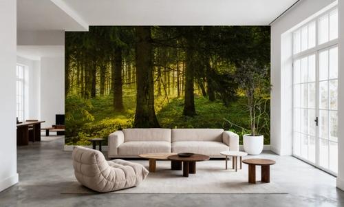 Nordic Woodland