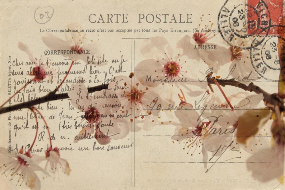 Letters to My Love I