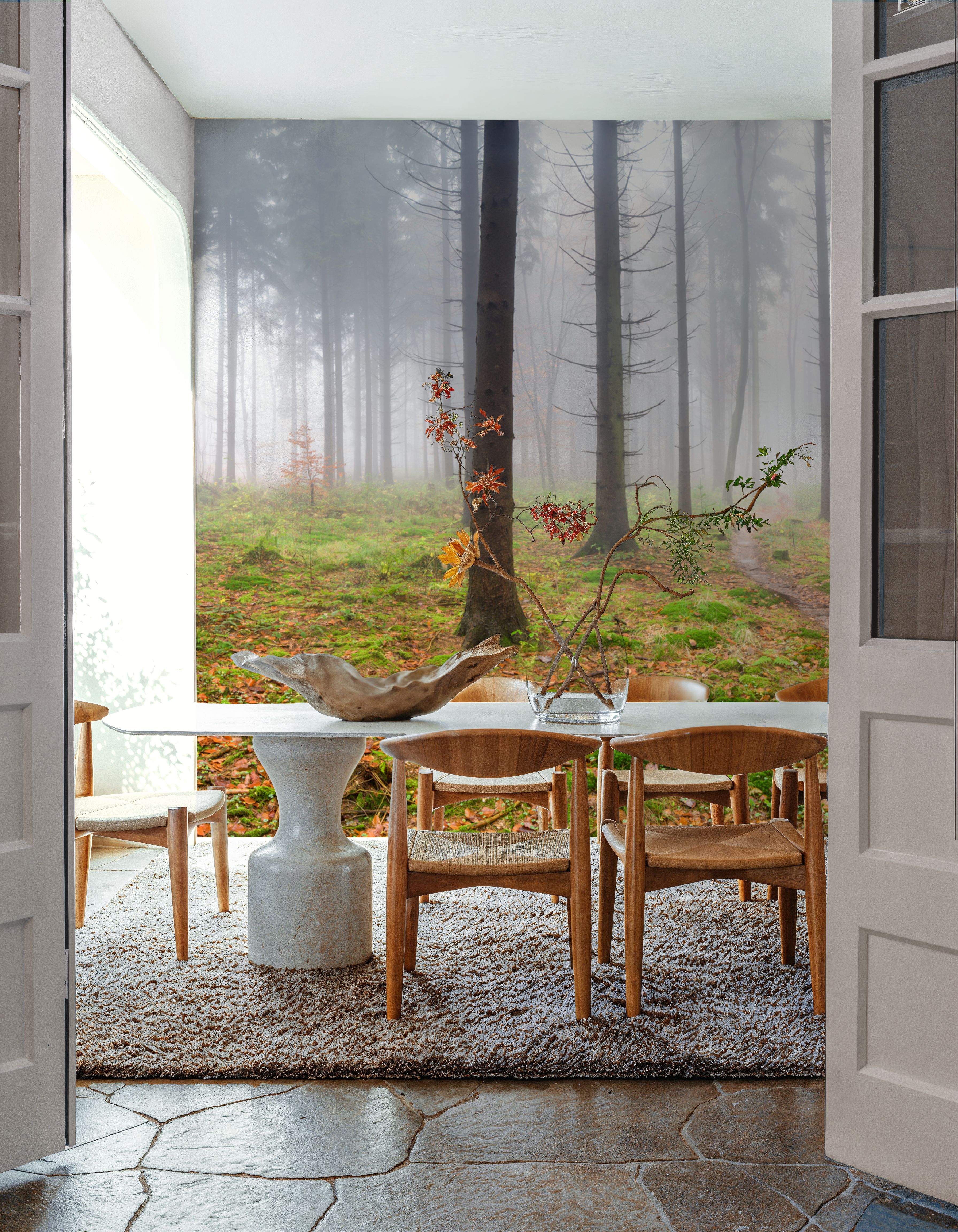 Foggy Forest
