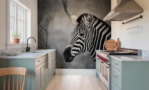Black and White Zebra