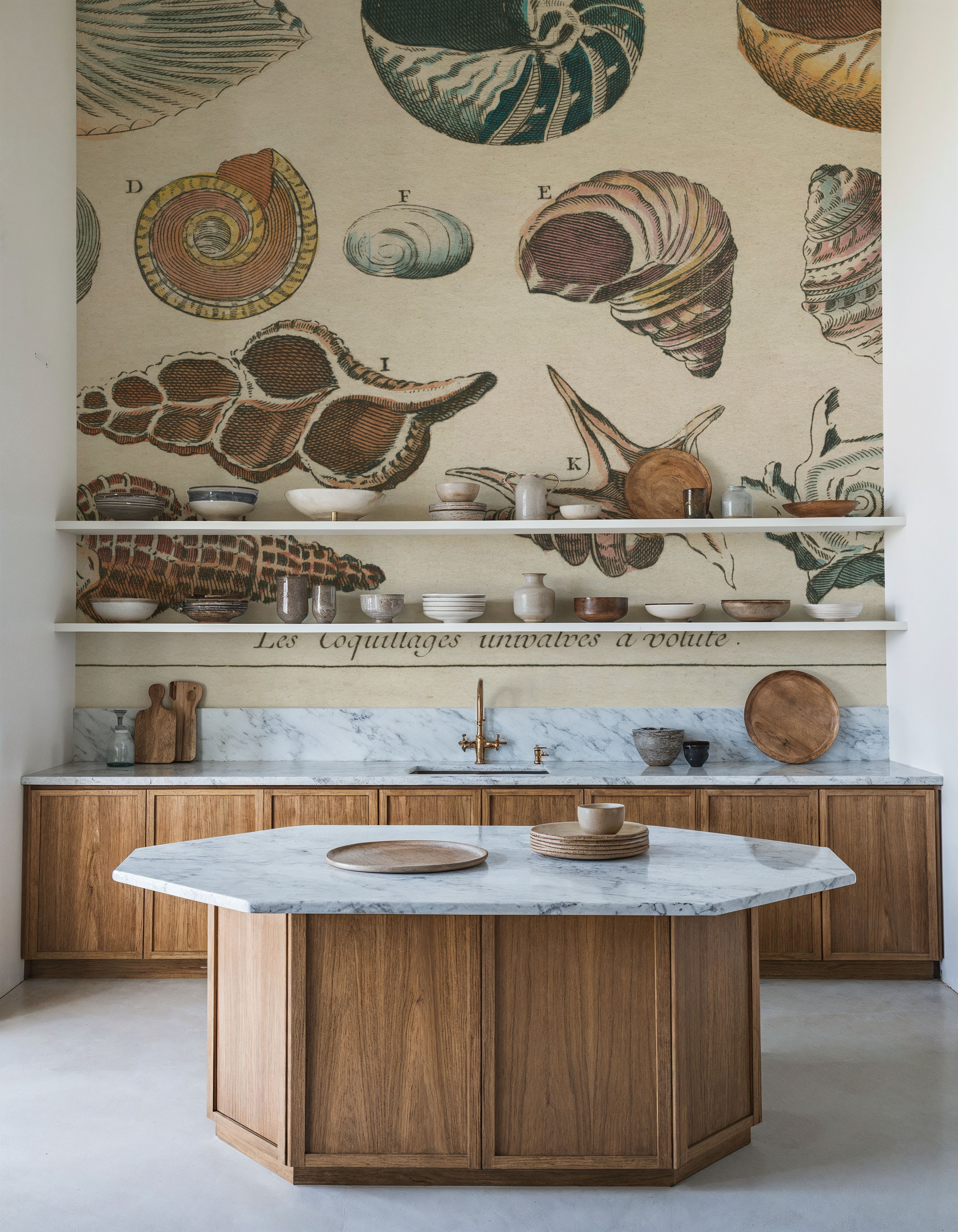 Shell Etchings I
