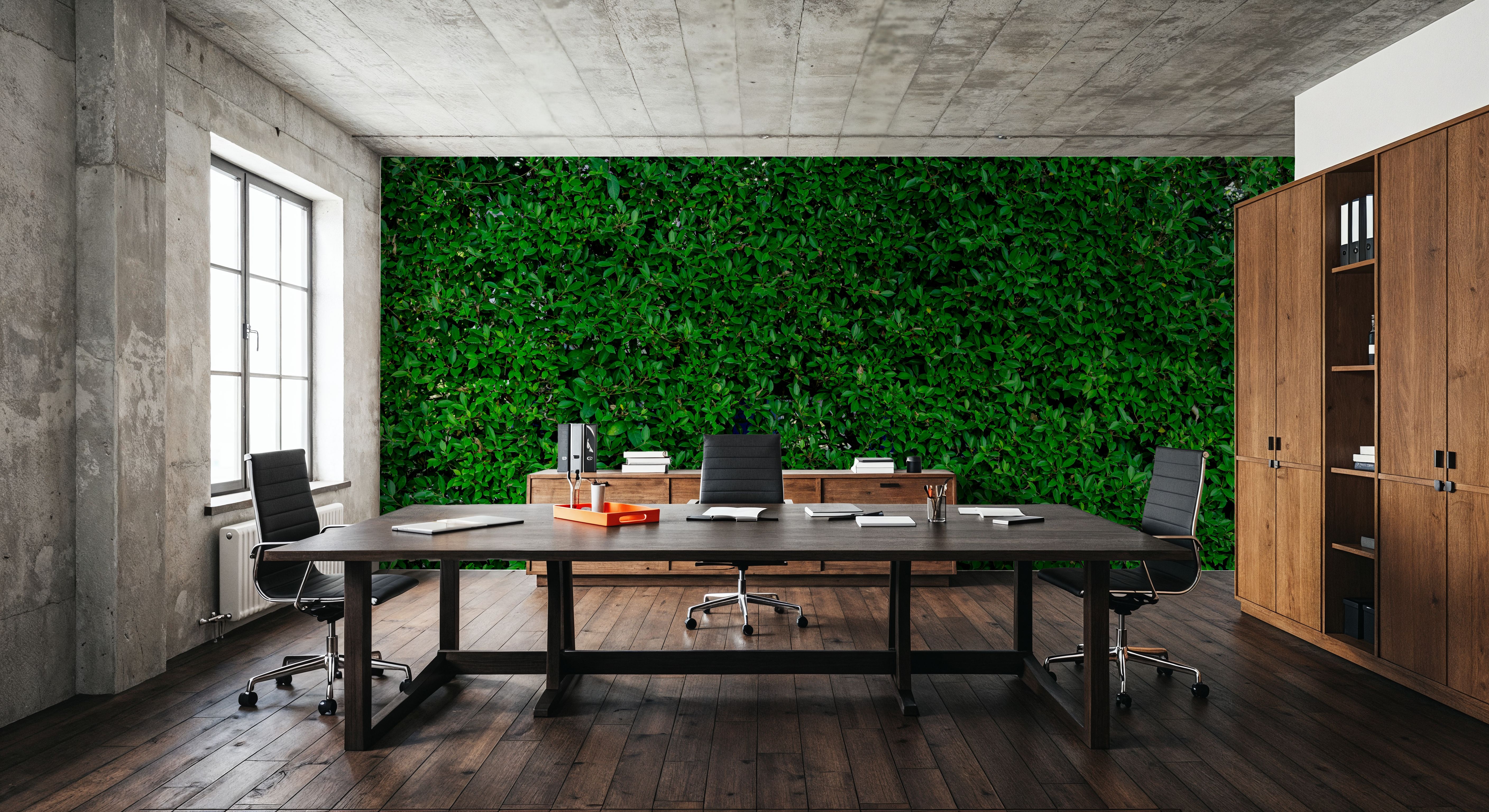  The Green Wall