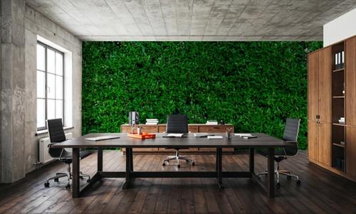 The Green Wall
