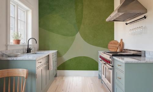 Embracing Shapes, Dill Green