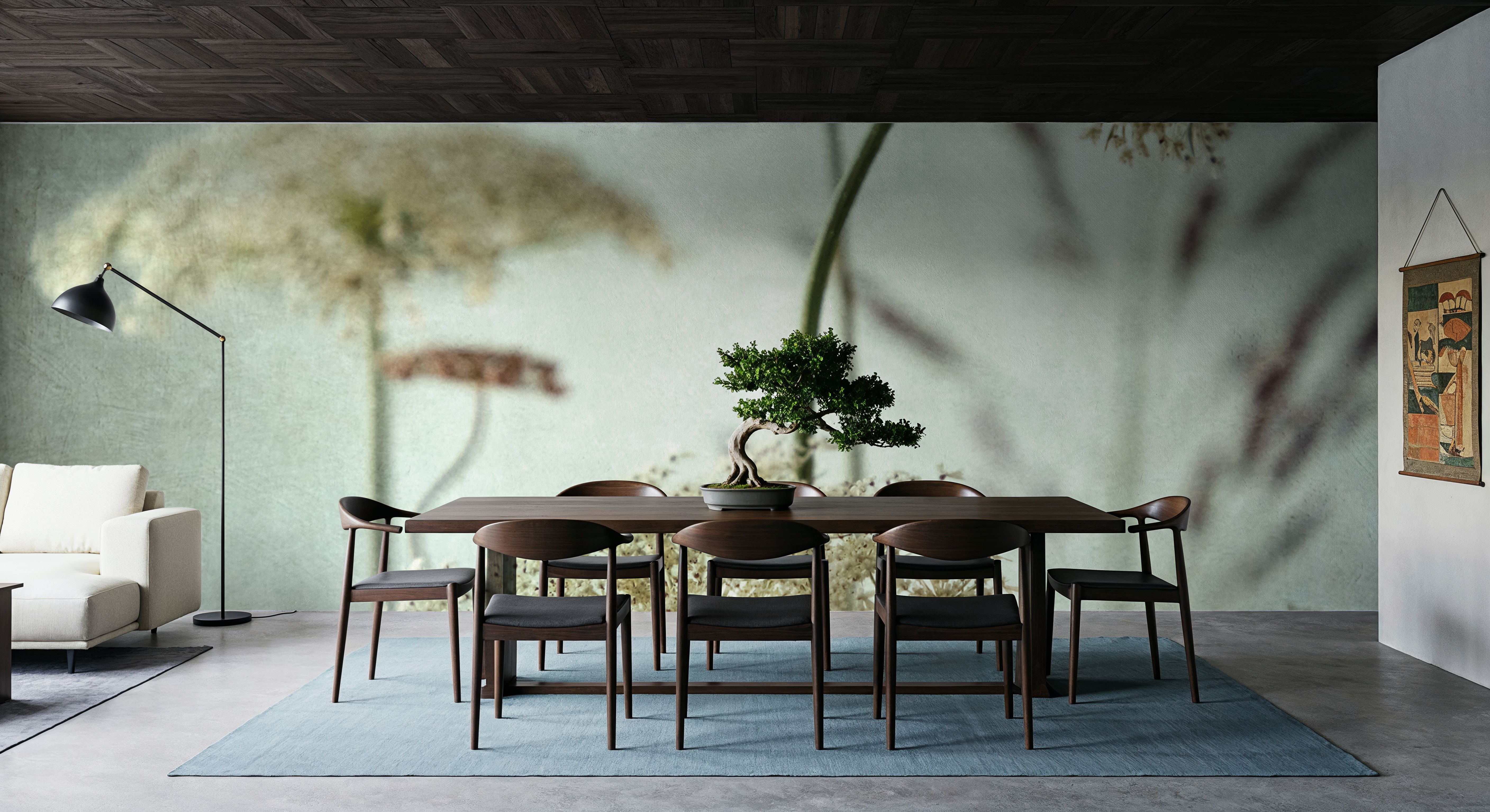 Queen Annes Lace Up Close I