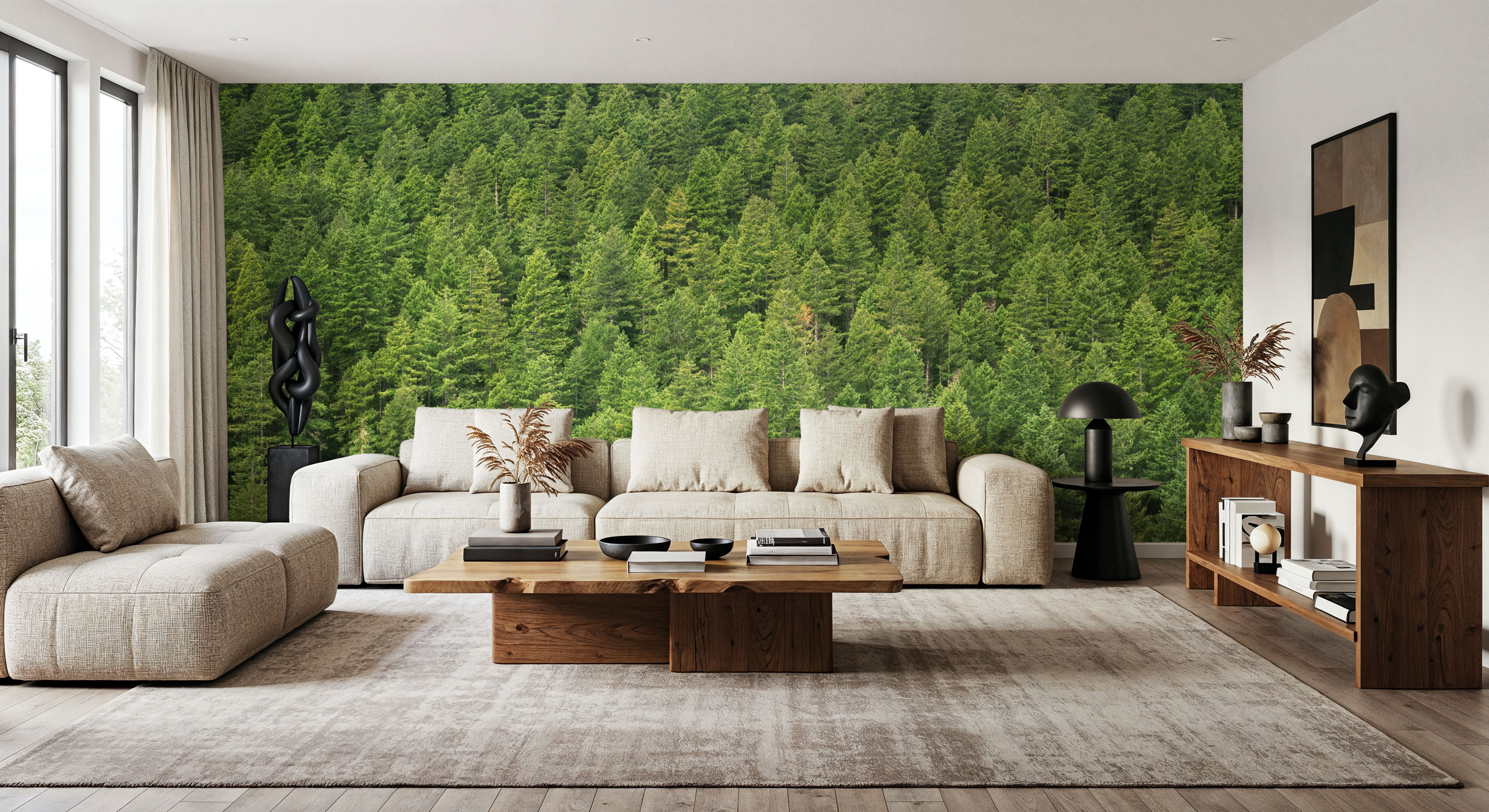 Evergreen Forest in Washintong State