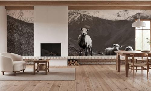 Wanaka Sheep III
