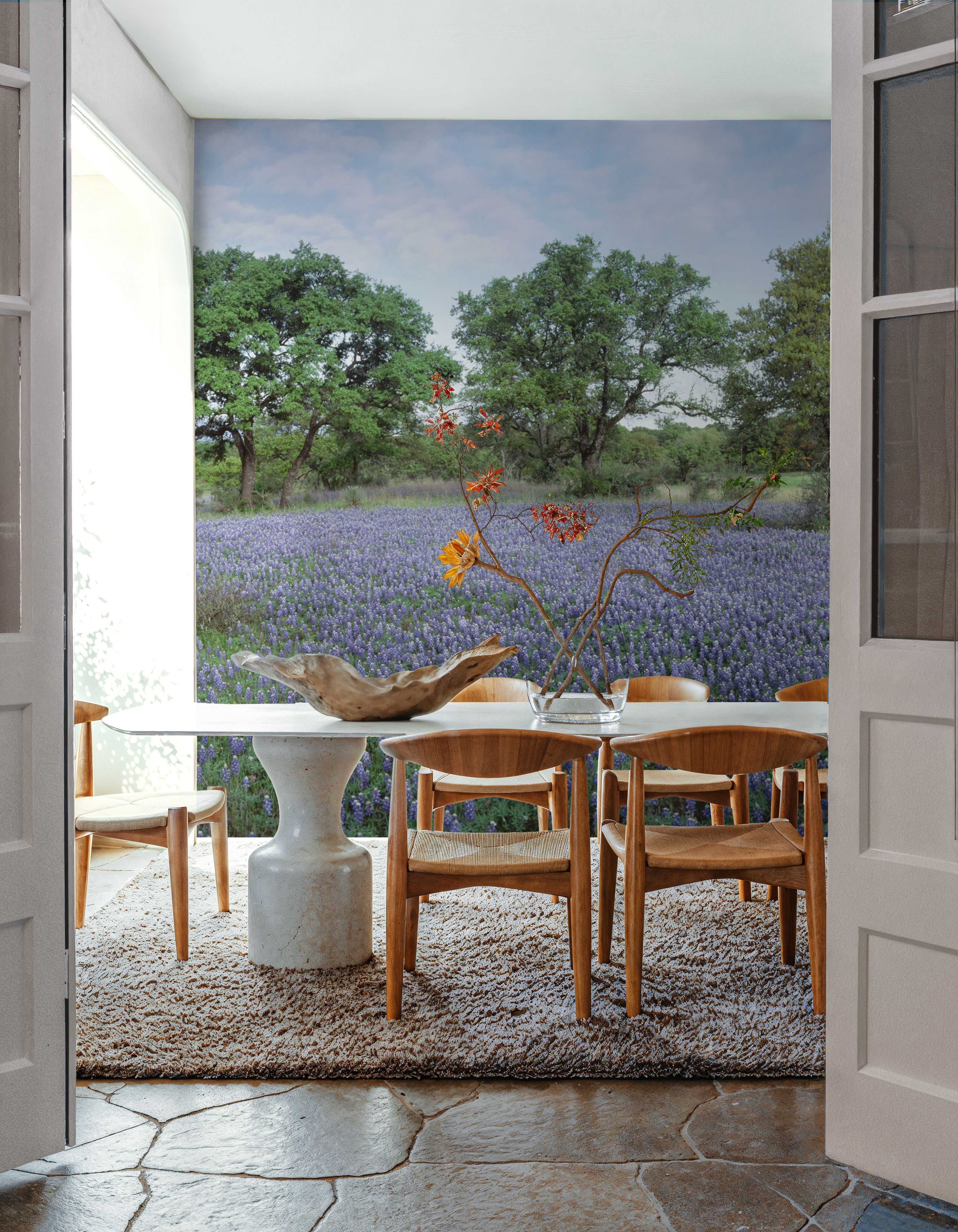 Texas Bluebonnet Paradise
